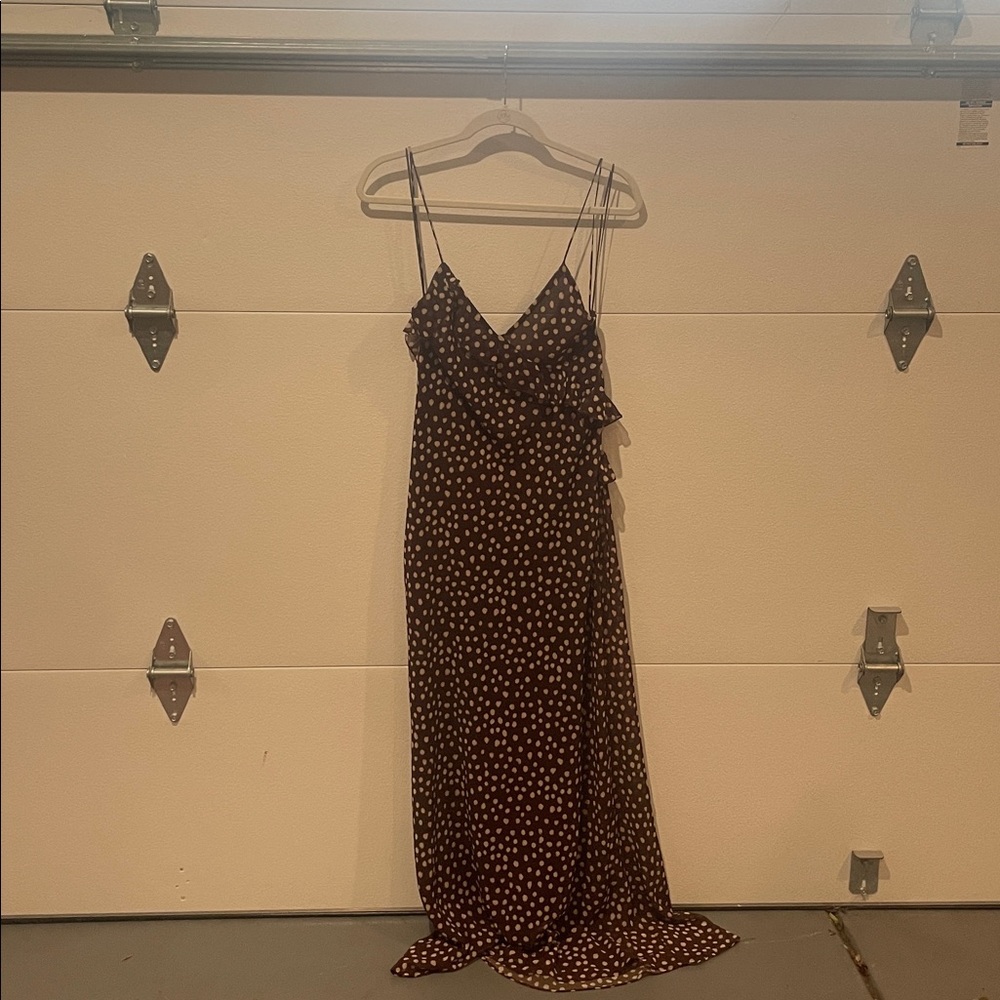 Zara Brown Polka Dot Dress